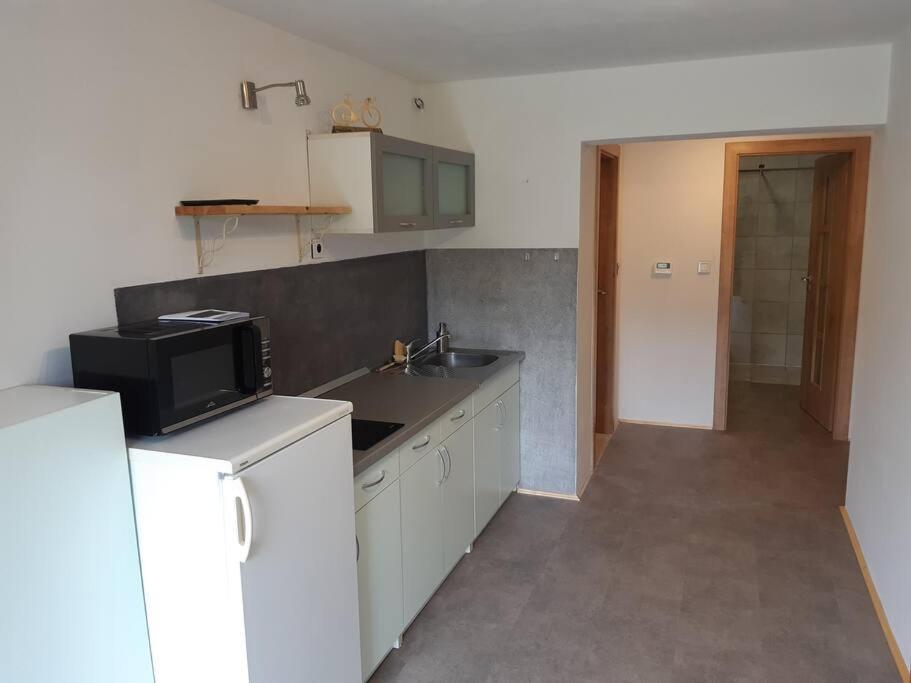 Apartment Tour Bohemian Switzerland Horni Podluzi Extérieur photo